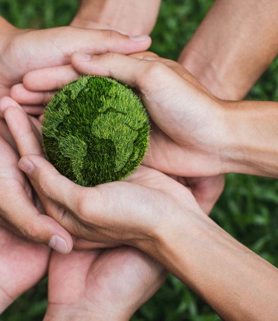 Sistema de Gestão Ambiental - NORMA ISO 14001:2015