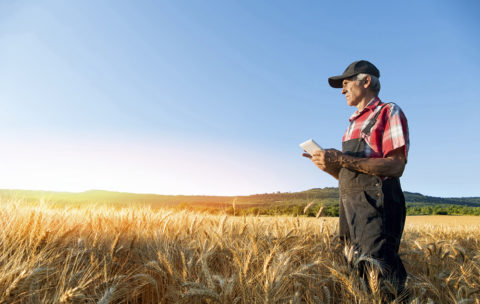 Farmer uses Tablet While Looking at Crops