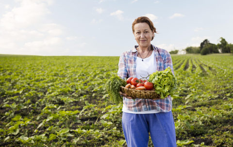 mulher-segurando-uma-cesta-cheia-de-legumes-com-espaco-de-copia