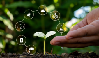 hands-are-driving-water-plants-trees-growing-soil AJUSTADA